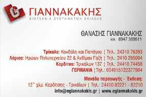 βιολοντζέλο του γνωστού γυναικείου κουαρτέτου από τη Θεσσαλονίκη.