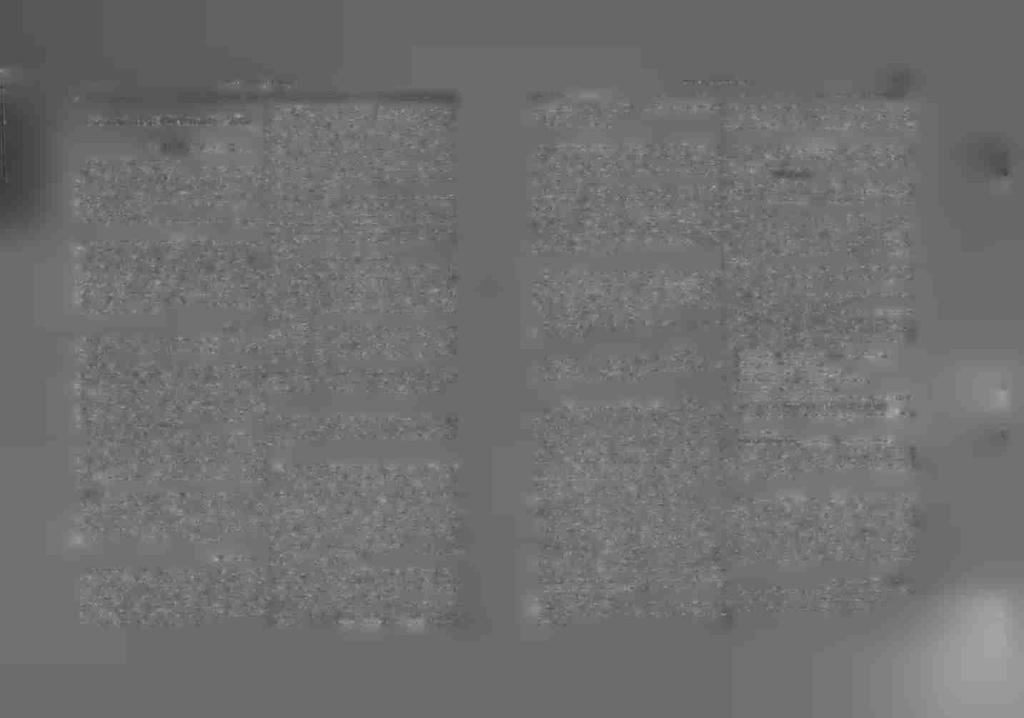 Ή στέγη δέν έχει κεράμους, άλλ είνε έστρωμένη με πλάκας ύπομέλανος χρώματος, έξ έκείνων μέ τάς οποίας έστοωνον άλλοτε τάς αύλάς. Ακαθαρσία, ελλειψις υπηρεσίας καί Άθηναϊκαί τιμαί.