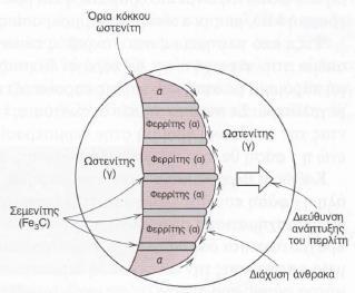 Εικόνα 3: Σχηματική αναπαράσταση του σχηματισμού περλίτη από ωστενίτη.