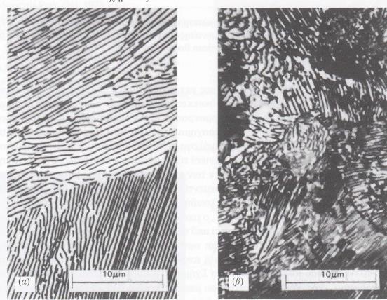 Εικόνα 4: Φωτομικρογραφίες, χονδρόκοκκου (α) και λεπτόκοκκου περλίτη (β).(χ3000) (4) Εικόνα 5: Διάγραμμα ισόθερμου μετασχηματισμού ενός κράματος σιδήρου-άνθρακα με 1.13 wt %C.