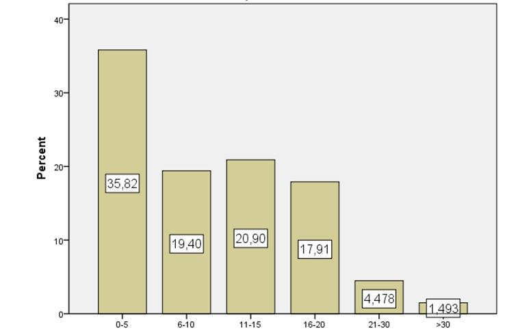 Γράφημα 19: Έτη εργασιακής εμπειρίας.