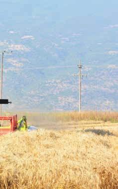 Η Γ. Χίγκας ΑΒΕΕ συνεχίζοντας τις παραδόσεις των καινούργιων θεριζοαλωνιστικών μηχανών Claas Lexion, συνδιοργάνωσε μαζί με την εταιρεία Κ&Ν Ευθυμιάδης, μία πιλοτική δοκιμή τηλεματικής εφαρμογής
