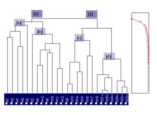 ΜΕΛΕΤΗ ΤΗΣ ΠΑΡΟΥΣΙΑΣ ΤΩΝ DBPs ΣΕ ΠΟΣΙΜΑ ΥΔΑΤΑ 272 δείγματα της Αθήνας τα οποία διαφοροποιούνται ως προς τον Factor 1, αφού δεν περιέχουν ΤΒΜ, ενώ περιέχουν σε υψηλές συγκεντρώσεις χλωριωμένα έναντι