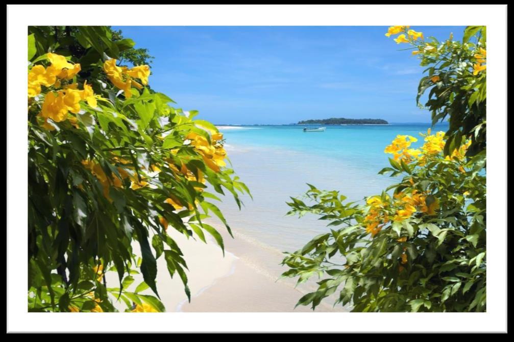 Εμπειρίες από τα Μπόκα Ντελ Τόρο Παραλία Boca de Dragon με τους φοίνικες σχεδόν σε οριζόντια στάση, να ξεκουράζονται πάνω στη θάλασσα, αλλά και στα παραδεισένια νησάκια Ζαπατίνας (παπούτσια στα