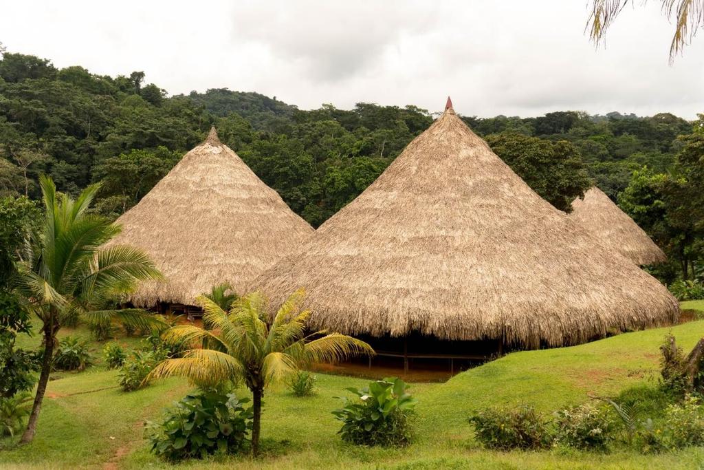 Αυτή η φυλή βρέθηκε αρχικά από τους Ισπανούς στην περιφέρεια Τσοκό της Κολομβίας και δια της βίας μετακινήθηκε στην περιοχή Νταριέν που σήμερα ανήκει στον Παναμά.