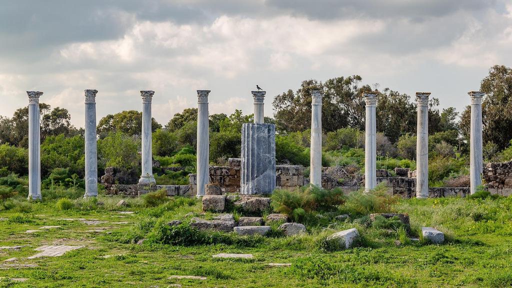 ΣΑΛΑΜΙΝΑ ΤΗΣ ΚΥΠΡΟΥ ΚΙΟΝΕΣ ΤΟΥ ΓΥΜΝΑΣΙΟΥ Πηγή