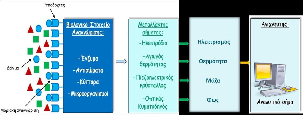 1.2 Ορισμός βιοαισθητήρων Οι βιοαισθητήρες είναι αναλυτικές διατάξεις οι οποίες χρησιμοποιούν ως μόριο αναγνώρισης ένα βιολογικό μόριο ή ένα βιομιμητικό υλικό σε επαφή με ένα φυσικοχημικό μεταλλάκτη