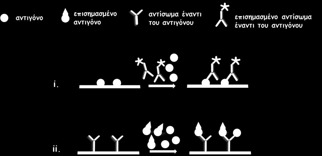 Εικόνα 3: Σχηματική αναπαράσταση των διαφορετικών διαμορφώσεων ανοσοχημικών προσδιορισμών στερεάς φάσης ανταγωνιστικού τύπου.