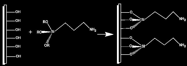 α) β) γ) δ) Εικόνα 20.