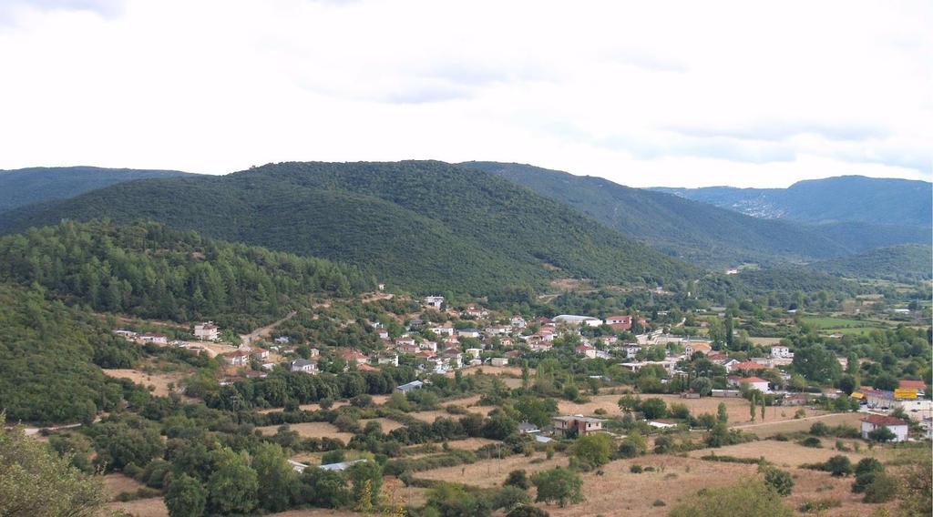 ΤΟ ΚΑΛΠΑΚΙ ΙΩΑΝΝΙΝΩΝ Πηγή