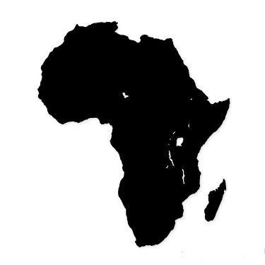 Η ΚΑΤΑΣΤΑΣΗ ΣΤΗΝ ΑΦΡΙΚΗ Σε πολλές χώρες της Αφρικής δημιουργήθηκε μετά την ανεξαρτησία τους μία ιδιόμορφη κατάσταση: τις χώρες αυτές κυβερνούσαν μειοψηφίες λευκών, που