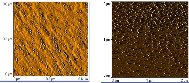 3.4 Μικροσκοπία ατομικής δύναμης ( AFM ) Εικόνα 3.