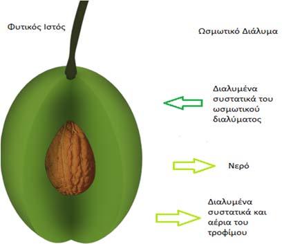 Εικόνα 10.