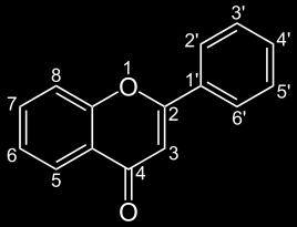 Γ.4. Φλαβονοειδή Κίτρινες χρωστικές