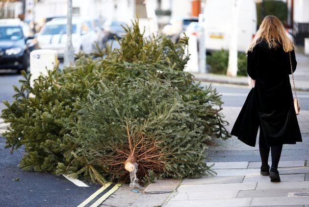 16 OIKOθέμα Έχουμε πολύ δρόμο ακόμα! Η Ελλάδα δεν τα πάει καλά με την ανακύκλωση γενικότερα, πόσο μάλλον των χριστουγεννιάτικων δένδρων.