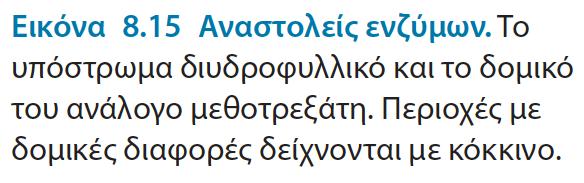 Παρεμποδιστές: Ουσίες που μοιάζουν (δομή στον χώρο-)με τα φυσικά υποστρώματα, δρουν ως αναστολείς Η μεθοτρεξάτη είναι ένας ιδιαιτέρως ισχυρός αναστολέας του ενζύμου αναγωγάση του