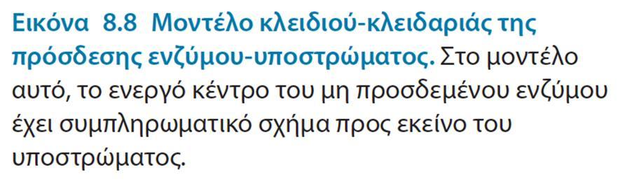 μοντέλο σύμφωνα με το οποίο το ενεργό κέντρο έχει ένα ταιριαστό