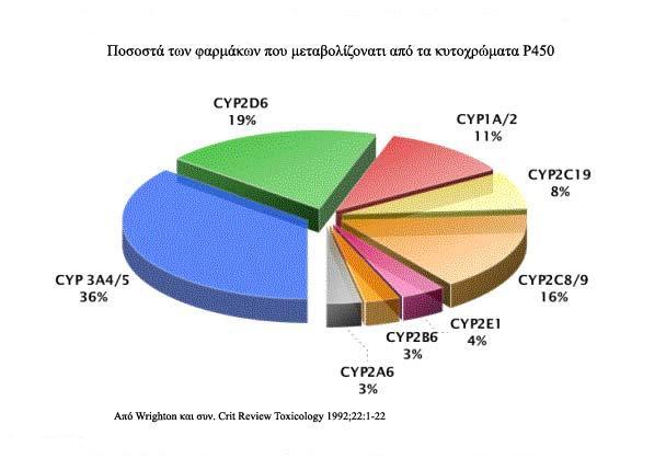 επίδραση του πολυμορφισμού του γονιδίου για το CYP2D6 στις ατομικές διαφορές της δράσης των οπιοειδών. Επίσης και άλλοι τύποι του CYP συμμετέχουν στον μεταβολισμό των τελευταίων.