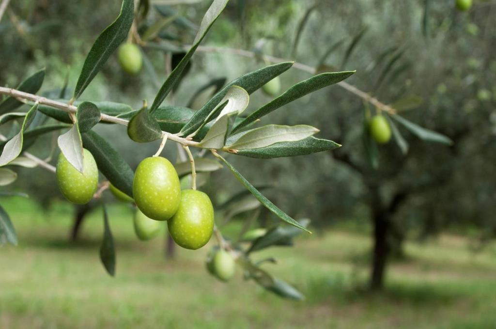 ΠΑΝΕΠΙΣΤΗΜΙΟ ΔΥΤΙΚΗΣ ΑΤΤΙΚΗΣ ΣΧΟΛΗ ΕΠΙΣΤΗΜΩΝ