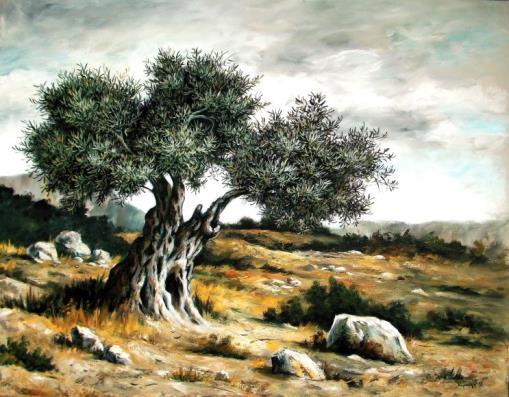 1.2 ΙΣΤΟΡΙΑ Η ελιά (Oleaeuropaea) είναι δέντρο αειθαλές, που βρίσκεται στην οικογεννεια oleacea καί προερχεται από τροπικες και θερμες εύκρατες περιοχε σ μοεξς.