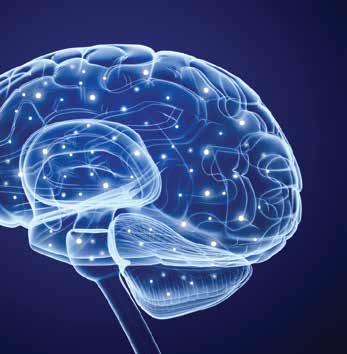 Double Blind Randomized study of the effect of early harvest olive oil and Extra Virgin Olive oil in Mild Cognitive Impairment Magda Tsolaki, Md, Phd, Neurologist-Psychiatrist, Theologian Professor