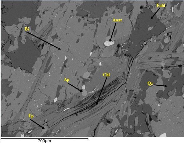 Εικόνα 85: Εικόνα οπισθοσκεδαζόμενων ηλεκτρονίων του υγιούς πετρώματος χαλαζιακού διορίτη (F5) Bi: βιοτίτης, Ap: απατίτης, Ep: επίδοτο, Anat: