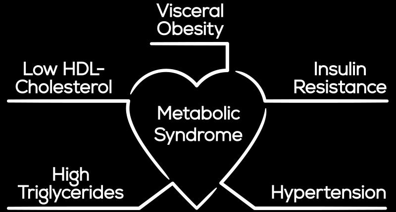 ΕΙΣΑΓΩΓΗ Μεταβολικό Σύνδρομο Ως μεταβολικό σύνδρομο ορίζεται η συνύπαρξη των παραγόντων που συνθέτουν τα καρδιαγγειακά νοσήματα (κεντρικού τύπου παχυσαρκία, υπεργλυκαιμία, υπέρταση, δυσλιπιδαιμία)