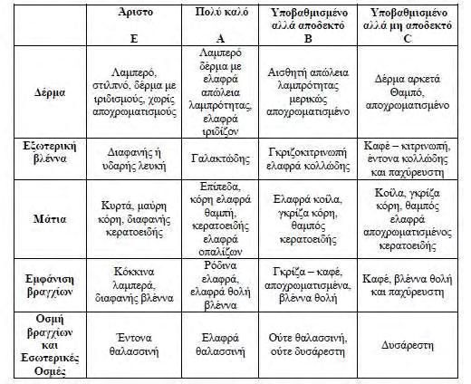 Πίνακας 1: Κριτήρια αξιολόγησης της ποιότητας