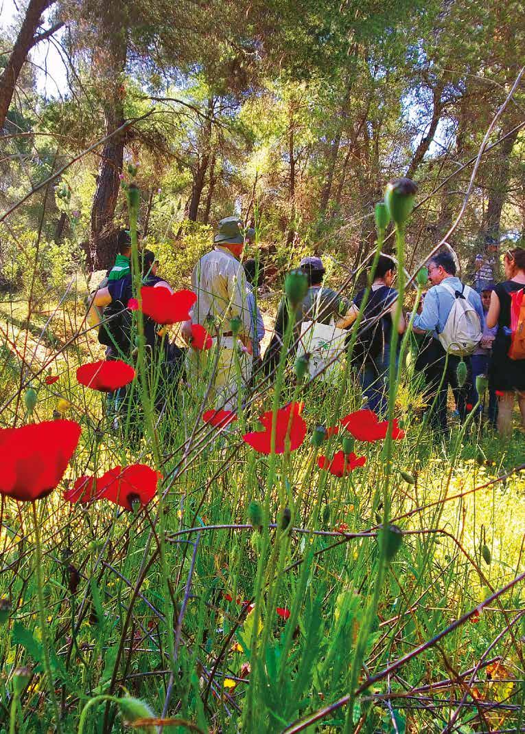 ΕΛΛΗΝΙΚΗ ΕΤΑΙΡΙΑ ΠΡΟΣΤΑΣΙΑΣ