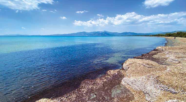 Τα πρώτα ευρήματα στην περιοχή του Εθνικού Πάρκου Σχινιά - Μαραθώνα σχετικά με τους θημώνες Ποσειδωνίας στο πλαίσιο του ευρωπαϊκού έργου POSBEMED2 Το Εθνικό Πάρκο Σχινιά-Μαραθώνα ανήκει στο δίκτυο