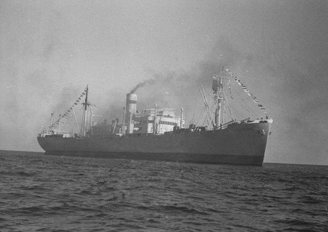 Τόμ. 1, Τεύχ. 2 Τρινιέκα: Επιστροφή στην Aσφάλεια σε μια Ξένη... έδαφος για να χτίσουν το κοινό μέλλον τους στην Πολωνία, ενώ οι πολιτικές ταμπέλες αγνοήθηκαν και αφέθηκαν στο παρελθόν. Εικόνα 1.
