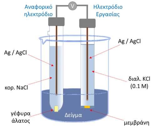 Η διάταξη του πειράματος αποτελείται ένα γαλβανικό στοιχείο το οποίο αποτελείται από 2 ημιστοιχεία: το ένα είναι ηλεκτρόδιο αναφοράς και το άλλο το ηλεκτρόδιο εργασίας καθώς και ένα βολτόμετρο που