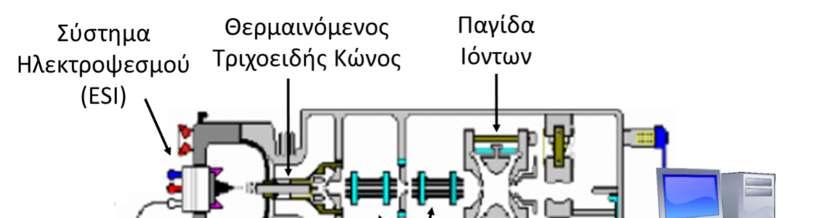 Οργανολογία: Το φασματοφωτόμετρο μάζας που χρησιμοποιείται στην άσκηση αυτή είναι τύπου LCQ Advantage της Thermo