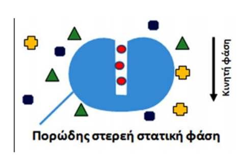 Εφαρμόζεται στην ανάλυση και το χαρακτηρισμό των πολυμερών ενώσεων (συμπεριλαμβανομένων και των πρωτεϊνών). Ο διαχωρισμός γίνεται με βάση το μέγεθος (και το σχήμα) των μορίων των αναλυόμενων ενώσεων.