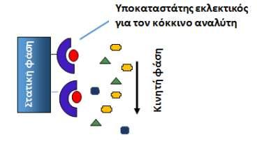 5. Η χρωματογραφία χημικής συγγένειας (affinity chromatography) εφαρμόζεται στο διαχωρισμό εναντιομερών ενώσεων.
