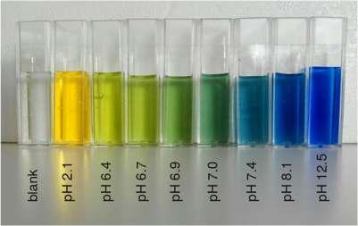 Διάλυμα Δείκτης (ml) διάλυμα Η2PO4 - (ml) Διάλυμα HPO4 2- H2O (ml) 1 1 3σταγόνες π.