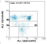 CD56+dim (διαχωρισμός από τα Τ λόγω χαμηλότερης έντασης) Β (R5) CD19+dim (διαχωρισμός από τα Τc λόγω χαμηλότερης έντασης και