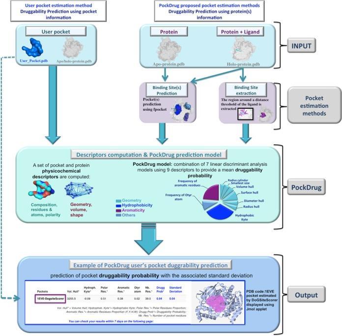 Figure 2: PockDrug Workflow [68] PockDrug workflow is divided in four sections: INPUT Pocket or protein structure is retrieved from PDB.