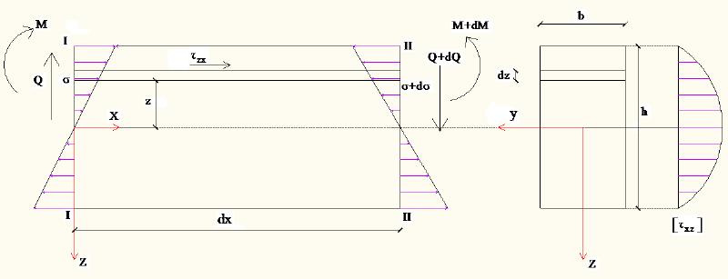 10 ΚΕΦΑΛΑΙΟ 1 M y x z ή I M y x Wel Y I Wel y y y και I Wel z z z (1:4) Εικόνα 1:12: Κατανομή ορθών τάσεων σε διατομή Τα εγκάρσια φορτία εμφανίζουν και τέμνουσα δύναμη στην δοκό, έτσι παρουσιάζονται