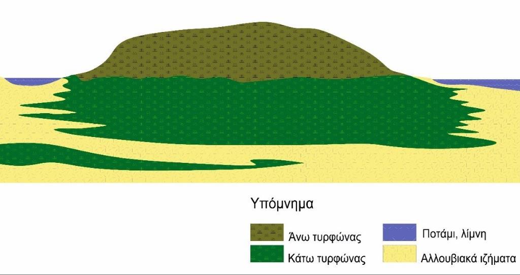 το μέσο πάχος της τύρφης στις τροπικές περιοχές ξεπερνάει τα 5-7 m και σε ορισμένες περιοχές υπερβαίνει τα 15 m, ενώ σύμφωνα με τους Rieley and Page (2016) το μέσο πάχος τύρφης στις τροπικές περιοχές