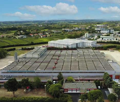 // ΟΙ ΕΓΚΑΤΑΣΤΑΣΕΙΣ ΠΑΡΑΓΩΓΗΣ ΚΑΙ ΤΟ R&D HUB Το εργοστάσιο παραγωγής σωλήνων για Πετρελαιοειδή και Ναυτιλία της Alfagomma
