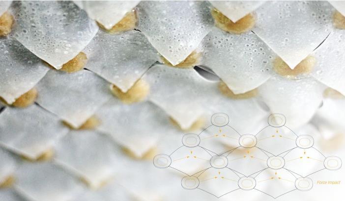 Επιπλέον, το Hydromorph είναι μόνιμα ανθεκτικό με συνέπεια να μειώνει το κόστος συντήρησης μακροπρόθεσμα.