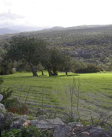 Η Κοινή Αγροτική Πολιτική (ΚΑΠ) της ΕΕ αποτελεί ένα από τα ισχυρότερα εργαλεία άσκησης πολιτικής εντός και εκτός Ευρώπης, καθώς αποτελεί ένα πολύ μεγάλο μέρος (γύρω στο 40%) του προϋπολογισμού της