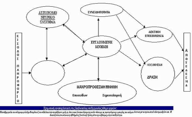 Αιτιολογικά µοντέλα III Τα µοντέλα επεξεργασίας πληροφοριών συµβάλλουν στην κατανόηση των διαταραγµένων συστηµάτων επεξεργασίας πληροφοριών στους σχιζοφρενείς (Brenner, 1986).