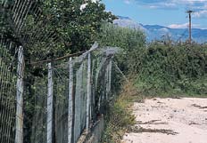 Έχω κάνει αίτηση σαν φράση-άλλοθι είναι προγραμματισμός