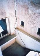 2005).