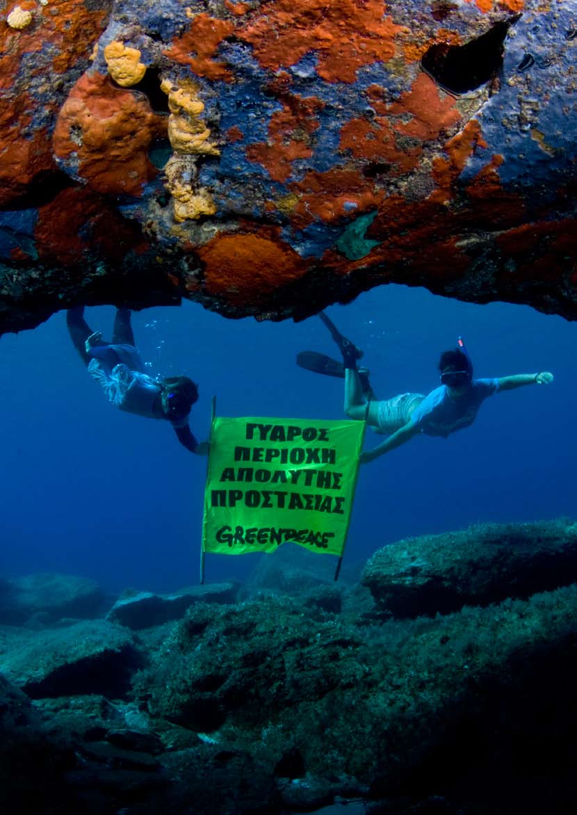 Greenpeace /