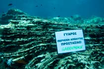 Οι αποστολές της Greenpeace στη θαλάσσια περιοχή των Βόρειων Κυκλάδων έχουν στόχο την ανάδειξη και την καταγραφή ευαίσθητων θαλάσσιων οικοσυστημάτων με καίρια σημασία για τη στήριξη των
