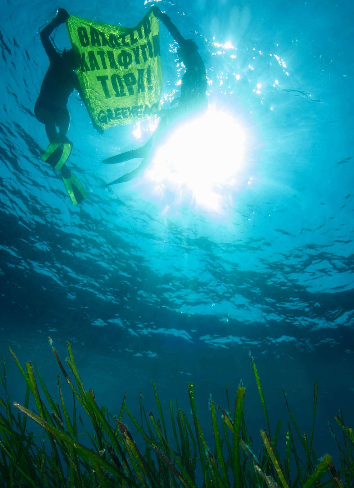 Greenpeace / GParsons Τι είναι η Ποσειδωνία; Η Ποσειδωνία (Posidonia oceanica) είναι ένα θαλάσσιο φυτό με το σπάνιο χαρακτηριστικό να δημιουργεί υποθαλάσσια λιβάδια και αναγνωρίζεται σαν ένα από τα