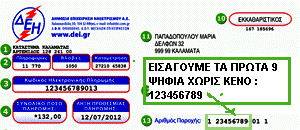 ΠΑΡΟΧΗΣ : 552524291 ΝΕΟ ΕΝΤΥΠΟ ΛΟΓΑΡΙΑΣΜΟΥ ΔΕΗ / ΑΡΙΘΜΟΣ ΠΑΡΟΧΗΣ : 123456789 Σε